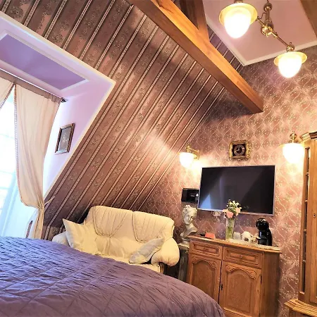 Rezidence Zamecek - Boutique מלון 4*