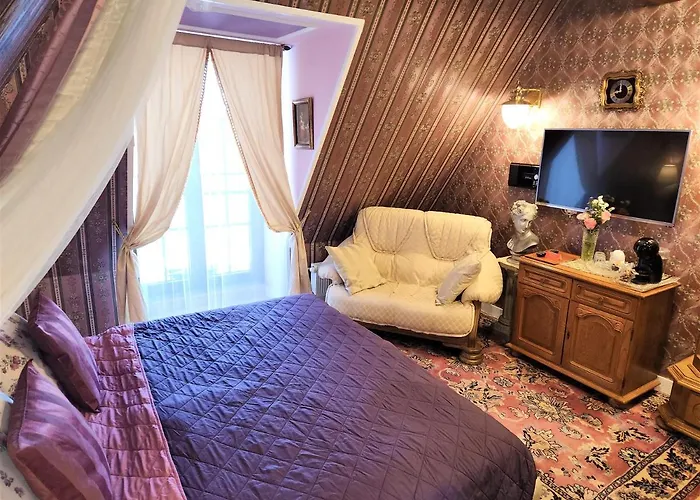 Rezidence Zamecek - Boutique فندق